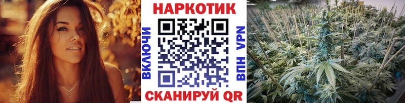 Купить Кодеин  Alpha-PVP  Мефедрон  Каннабис  Кедровый