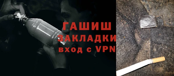 индика Елабуга