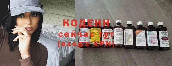 индика Елабуга