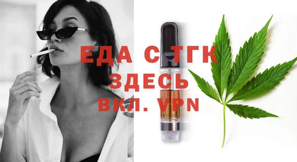 индика Елабуга
