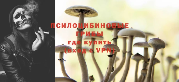 mdma Ельня