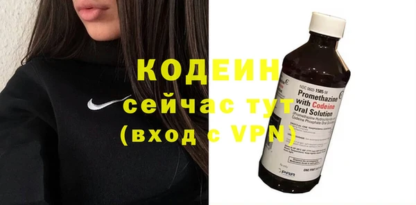 индика Елабуга