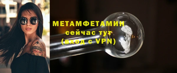 индика Елабуга