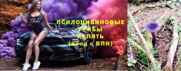 2c-b Елизово