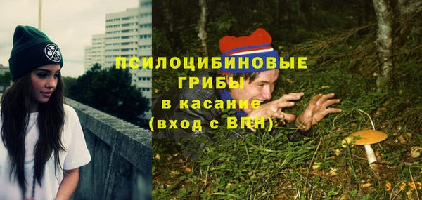 2c-b Елизово