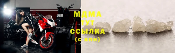 индика Елабуга