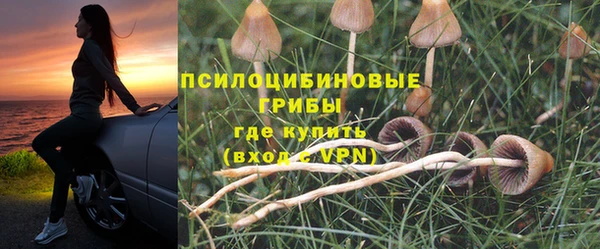 индика Елабуга