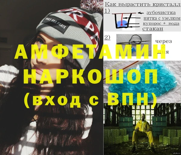 индика Елабуга