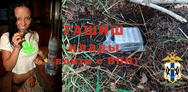 индика Елабуга