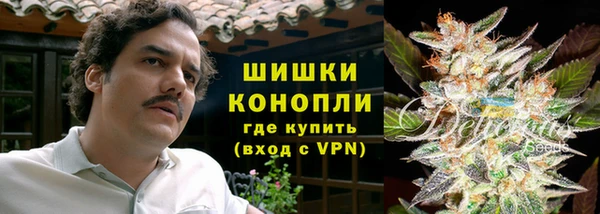 индика Елабуга