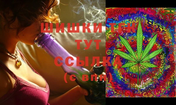 индика Елабуга